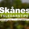 Skånes idrottsledarstipendier 2024