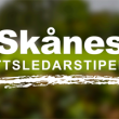 Skånes Idrottsledarstipendier 2025