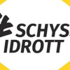 #Schysstidrott - Hur skapas en trygg idrottsmiljö?