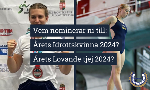 Nominera till MISOs utmärkelser